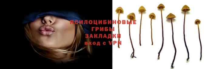 гашишное масло Абинск