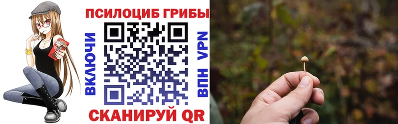 Псилоцибиновые грибы ЛСД  Хабаровск 