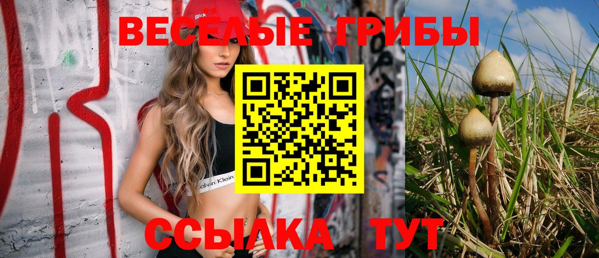 Хабаровск  Галлюциногенные грибы GOLDEN TEACHER  Галлюциногенные грибы Psilocybe  Вход с VPN 