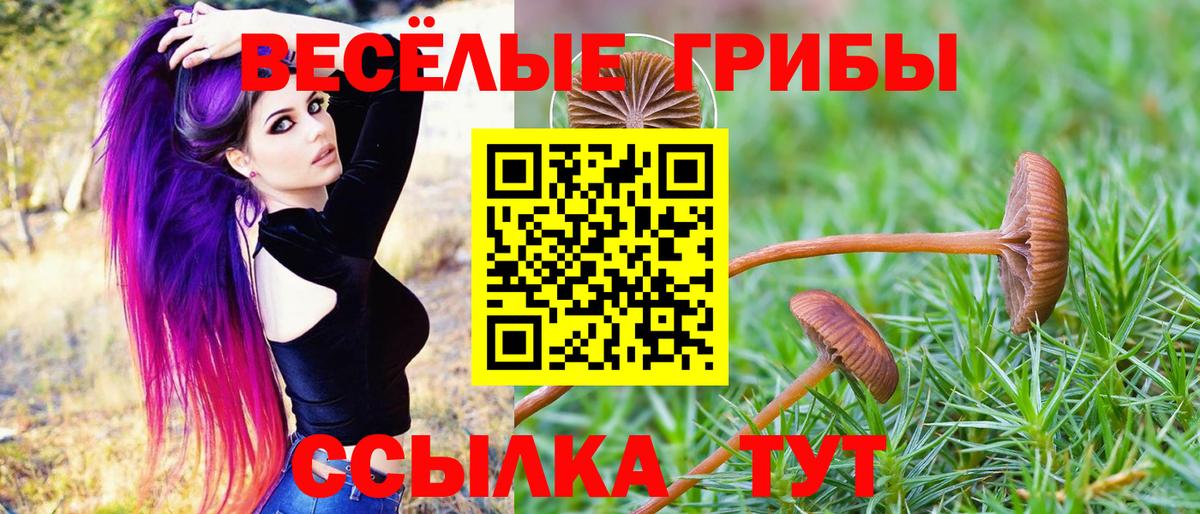 Псилоцибиновые грибы Magic Shrooms Хабаровск